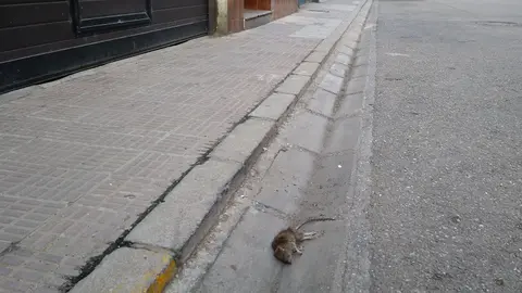 calle Doctor Villalobos