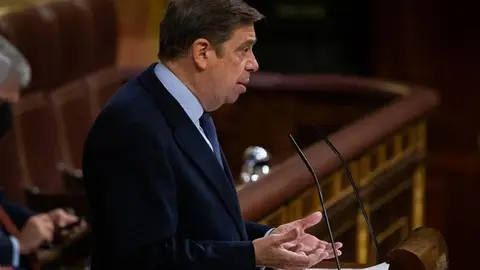 Luis Planas durante su comparecencia en el Congreso de los Diputados