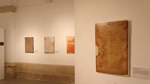 Exposición biblioteca Zamora (1)