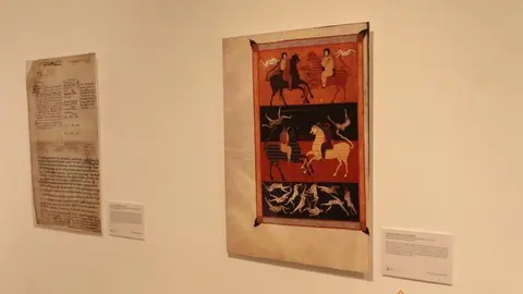 Exposición biblioteca Zamora (4)