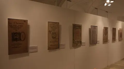 Exposición biblioteca Zamora (14)