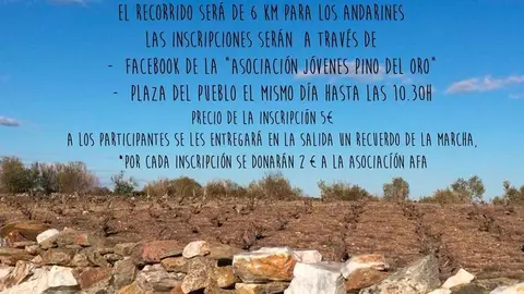 Marcha_Solidaria_PinodelOro_15042022