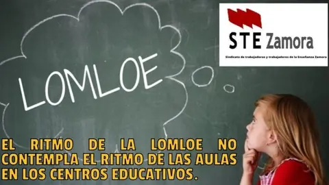 ste zamora lomloe