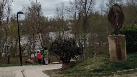 Zamoranos pasean con sus perros por la orilla del río Duero
