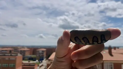 Piedras pintadas en Zamora