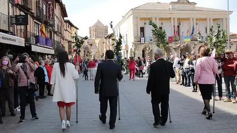 Domingo de Ramos en Toro (1)