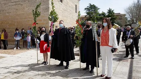 Domingo de Ramos en Toro (16)