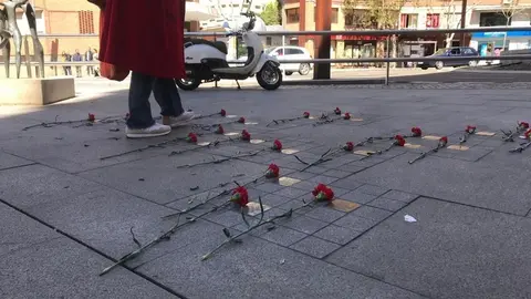 Flores esparcidas en las placas de la Plaza Alemania confluencia con San Torcuato