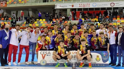 Las selecciones de Castilla y León de balonmano