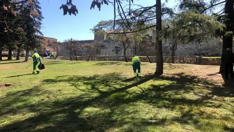 Operarios de Parques y Jardines limpian San Martín