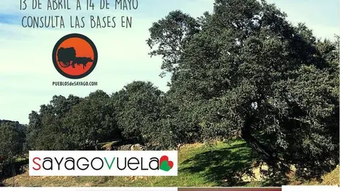 Cartel concurso literario A la luna de Sayago