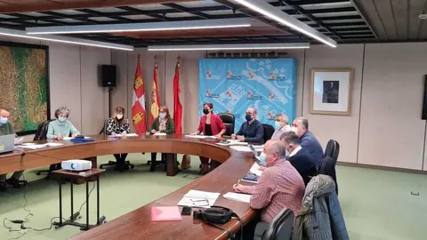 Comisión Territorial de Patrimonio Cultural