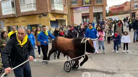 Carrera del Toro Enmaromado en Benavente. Foto Interbeavente