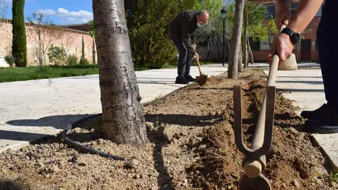 Estimulación huerto AFA Zamora en el Palacio de Valparaíso