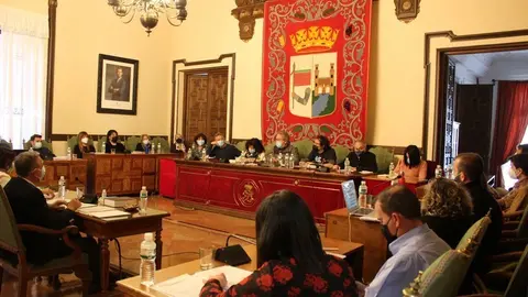 Pleno presencial en el Ayuntamiento de Zamora