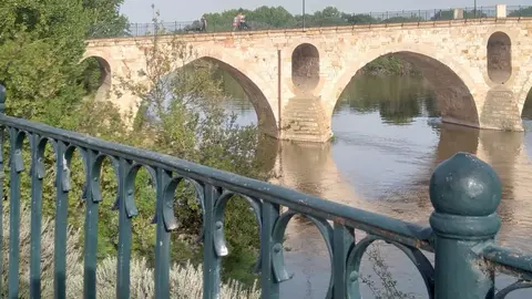 Puente de piedra de Zamora