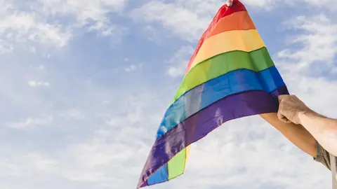 Bandera LGTBI