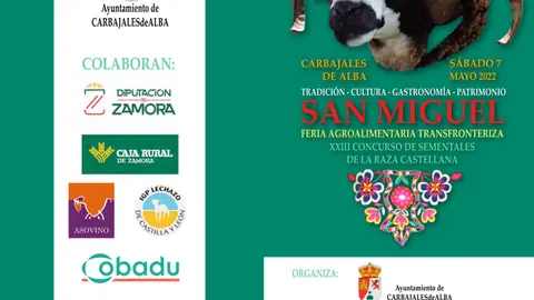 Feria Carbajales de Alba