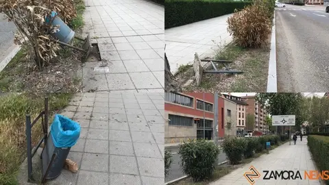 Combo de imágenes de papeleras destrozadas