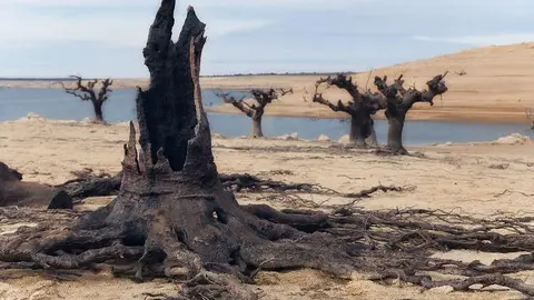 Restos de Argusino. Fotografía: Pedro Mesonero