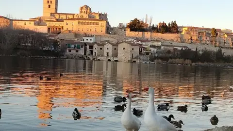 Vista de Zamora