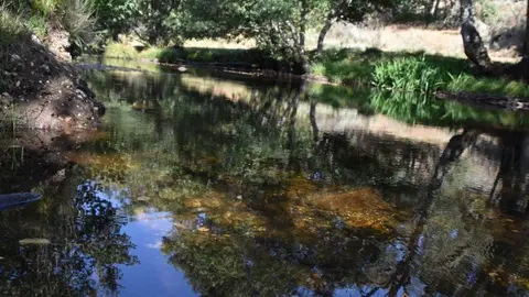 Río Tera