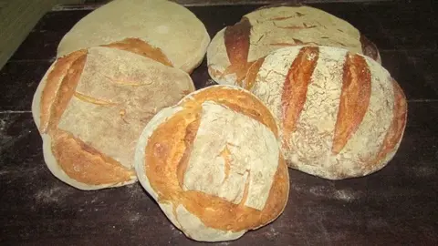 Panadería Zamora