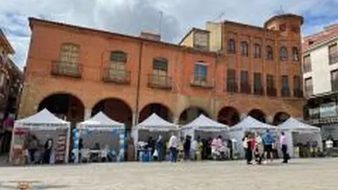 Feria del Stock en la Plaza Mayor de Benavente