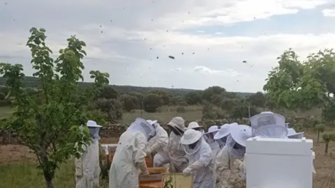 Curso de Apicultura en Fonfría. imagen de archivo
