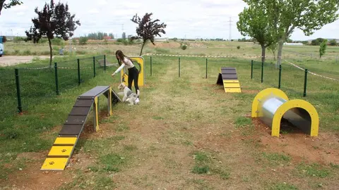Parque canino Zamora