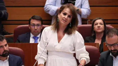 La viceportavoz del Grupo Parlamentario Socialista, Patricia Gómez