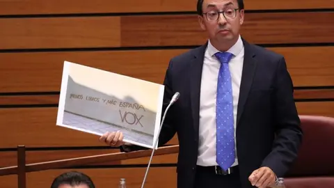 El portavoz de Educación del Grupo Socialista en las Cortes de Castilla y León, Fernando Pablos