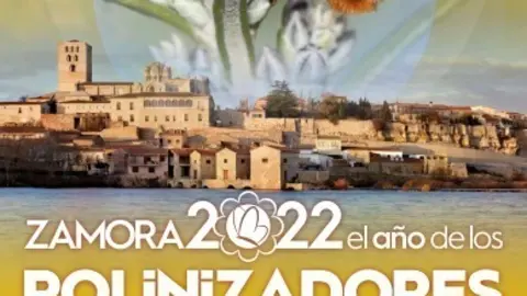 polinizadores