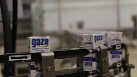13gaza