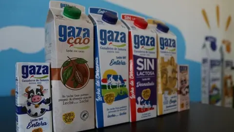 29gaza