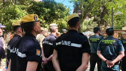 Exposición Fuerzas Armadas (21)