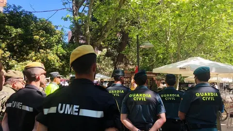 Exposici&oacute;n Fuerzas Armadas (20)