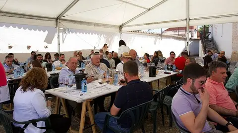 Feria del Vino de Toro (3)