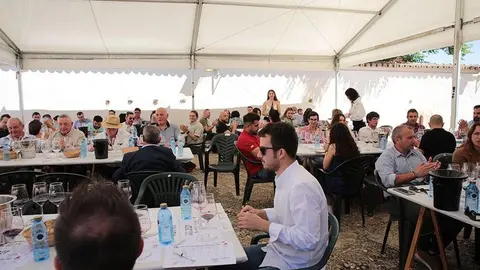 Feria del Vino de Toro (11)