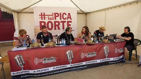 Feria del Vino de Toro (19)