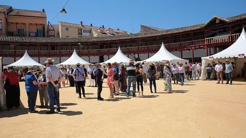 Feria del Vino de Toro (25)