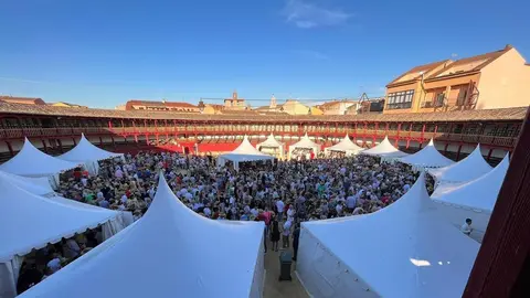 toro feria vino