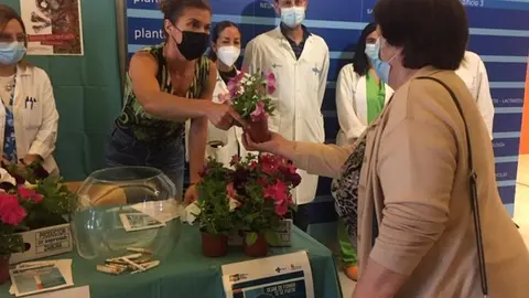 La delegada territorial de la Junta en Zamora, Clara San Damián, entrega un geranio a cambio de un cigarrillo con motivo del Día Mundial Sin Tabaco