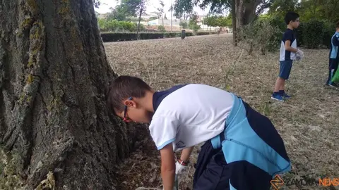 3trilema