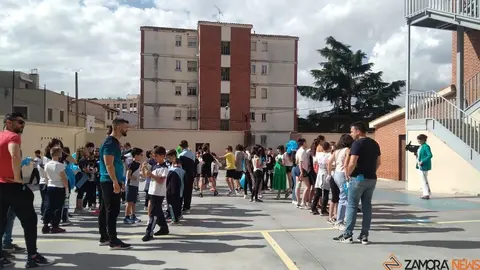 11trilema