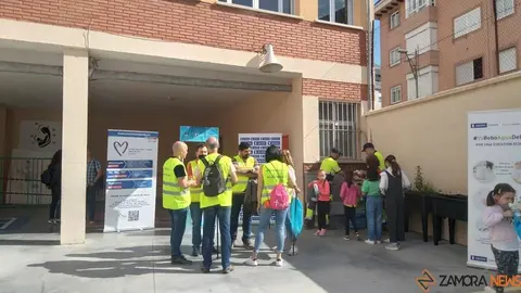 15trilema