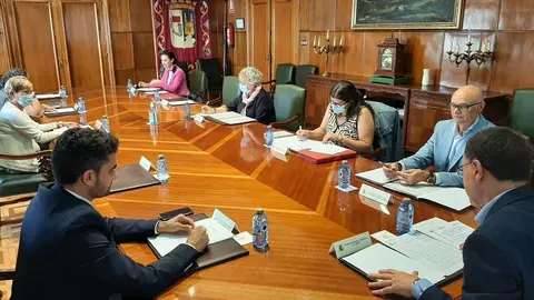 comisión de seguimiento PFEA