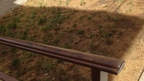 Estado de la Bajada de Fuentelarreina. Fotografía: DZ en Facebook