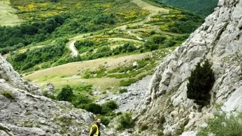 Operativo de búsqueda