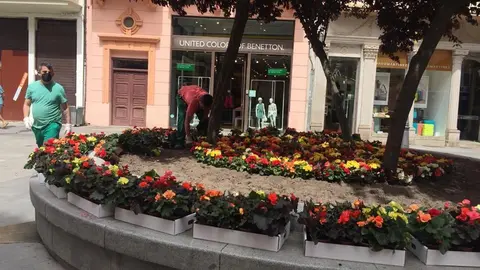 Empleados municipales del Ayuntamiento de Zamora